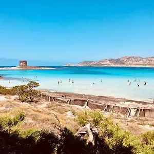 Villetta Indipendente Immersa Nel Verde Casa vacanze Stintino